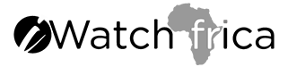 DisinfoEye Logo